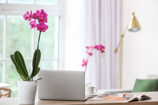 Beautiful orchid flower and laptop on table in light room