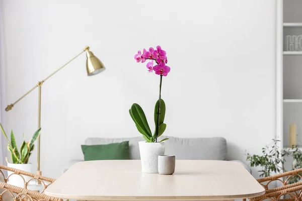 Beautiful Orchid Flower Table Light Living Room — Stock Photo, Image