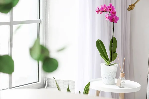 Güzel Orkide Çiçeği Sazlık Ayırıcı Işık Odasındaki Masada — Stok fotoğraf