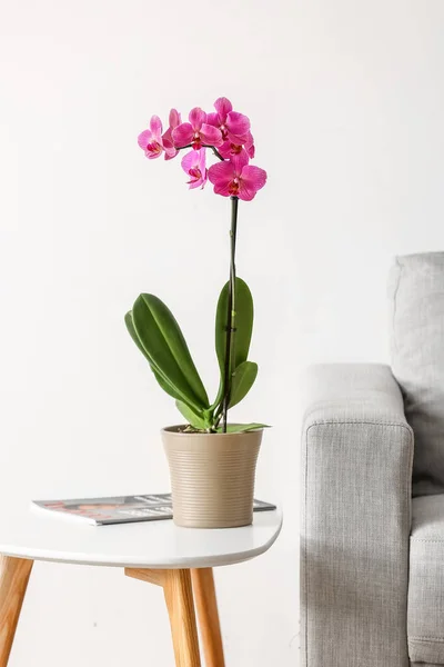 Beautiful orchid flower and magazine on table near white wall