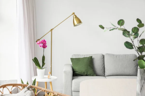 Beautiful Orchid Flower Reed Diffuser Table Light Living Room — Stock Photo, Image