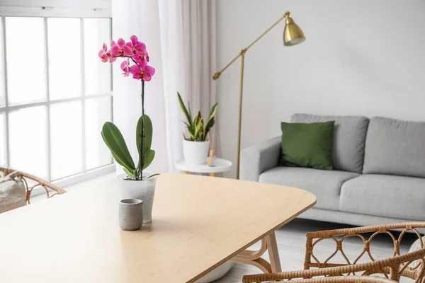 Beautiful Orchid Flower Candle Table Light Living Room Interior — Stockfoto