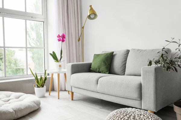 Interior Living Room Sofa Beautiful Orchid Flower Table — Foto de Stock