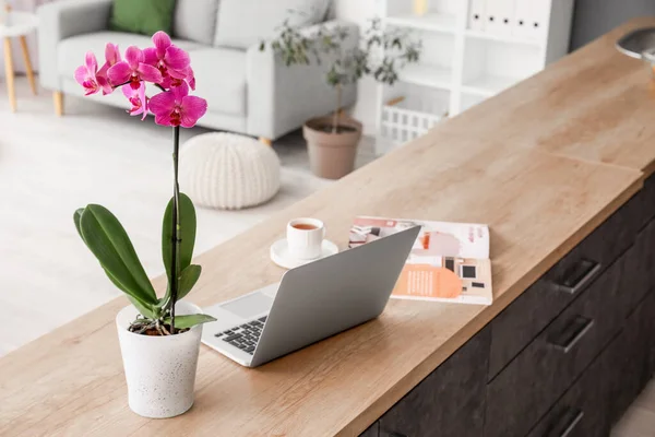 Beautiful Orchid Flower Laptop Kitchen Counter — Foto de Stock