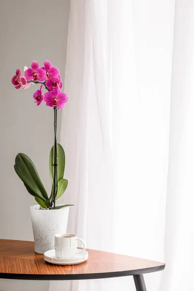 Beautiful Orchid Flower Cup Coffee Table — Stock Photo, Image