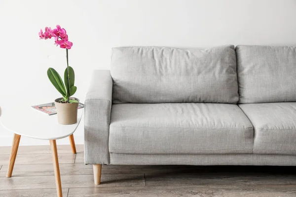 Sofa Beautiful Orchid Flower Table White Wall — Φωτογραφία Αρχείου
