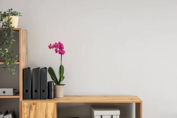 Beautiful orchid flower on shelf unit near white wall