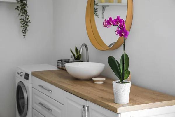 Beautiful Orchid Flower Counter White Wall Bathroom — Stock Photo, Image
