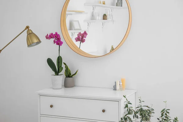 Chest Drawers Houseplants Cosmetic Products White Wall — 스톡 사진