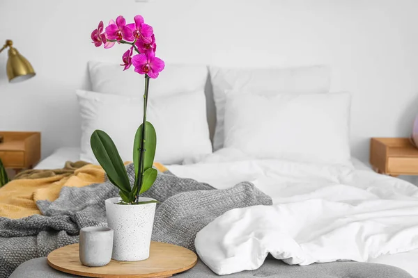 Tray Orchid Flower Candle Bench Bed — Foto Stock