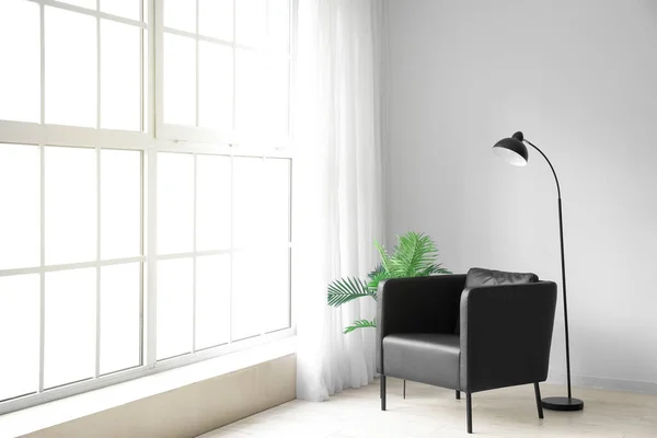 Interior Living Room Black Armchair Standard Lamp Palm Tree — Φωτογραφία Αρχείου