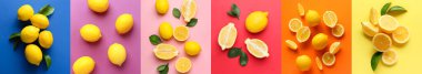Collage with many lemons on color background, top view