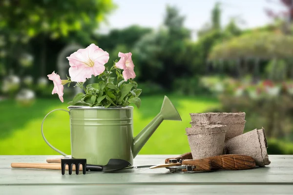 Set Gardening Supplies Table Outdoors — 스톡 사진