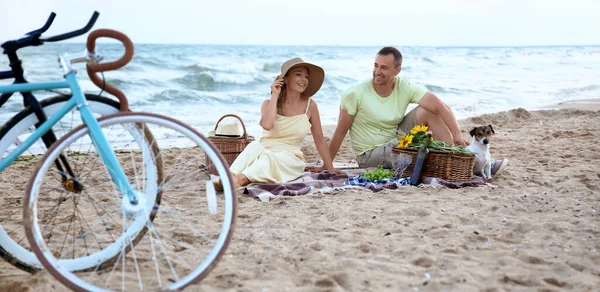 Mature Couple Cute Dog Having Picnic Sea Beach —  Fotos de Stock