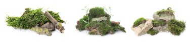 Green moss with tree branch and rocks isolated on white  