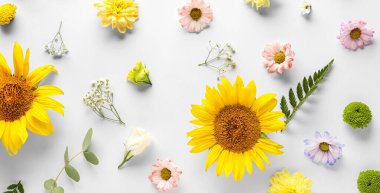 Beautiful composition with fresh flowers on light background