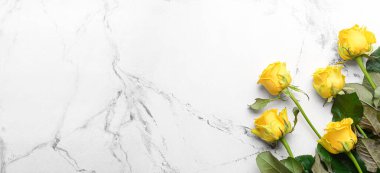 Beautiful yellow roses on light background with space for text