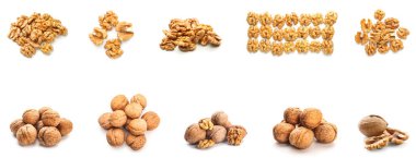 Set of many tasty walnuts isolated on white