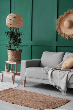Interior of cozy living room with sofa, stepladder and houseplants