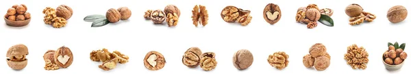 Set Many Tasty Walnuts Isolated White — Stok fotoğraf