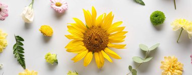 Beautiful composition with flowers and leaves on white background