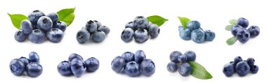 Set of ripe blueberry isolated on white