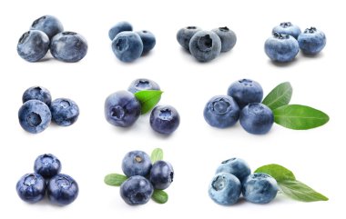 Set of ripe blueberry isolated on white