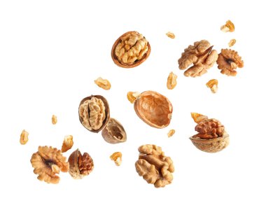 Flying walnuts isolated on white