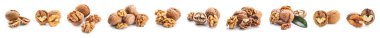 Set of tasty walnuts isolated on white