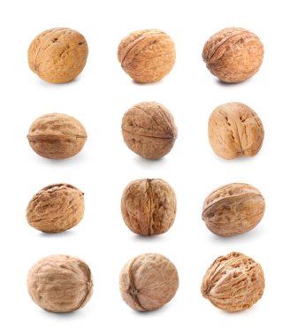 Set of tasty walnuts isolated on white
