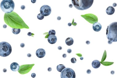 Many falling blueberries on white background