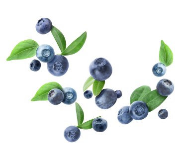 Many flying blueberries on white background