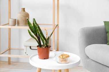 Table with wilted houseplant and cookies in living room