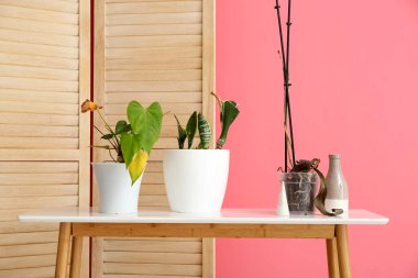 Table with wilted houseplants and folding screen near pink wall