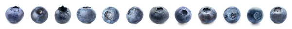Set Ripe Blueberry Isolated White — Stock Photo, Image