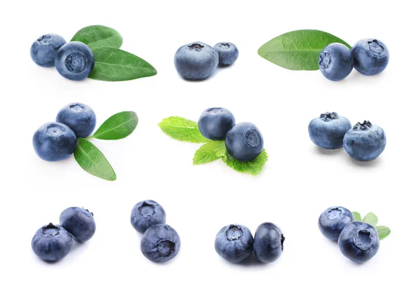 Set Ripe Blueberry Isolated White — 스톡 사진
