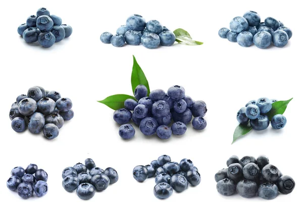 Set Ripe Blueberry Isolated White — стоковое фото