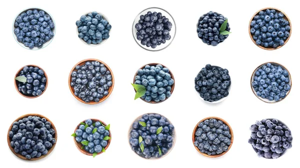 Set Ripe Blueberry Isolated White Top View — стоковое фото