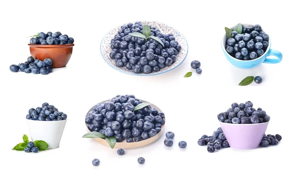 Set Ripe Blueberry Isolated White — Stock Photo, Image