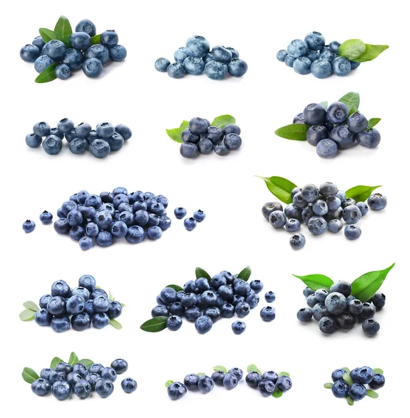Set Ripe Blueberry Isolated White — Foto de Stock