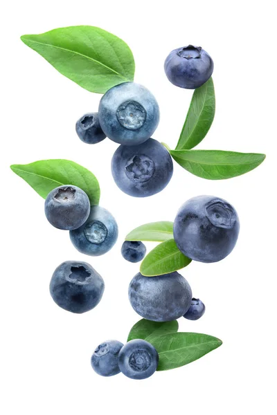 Many Flying Blueberries White Background — стоковое фото