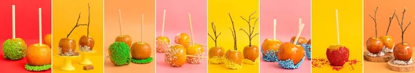 Collage of tasty candy apples on colorful background