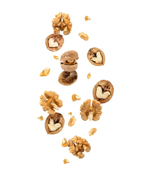 Flying Walnuts Isolated White — Fotografia de Stock