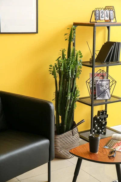 Big Cactus Interior Stylish Living Room — Stock Fotó