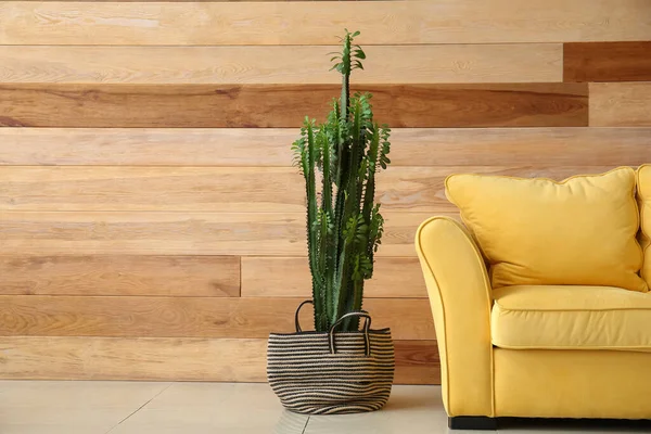 Big Cactus Yellow Sofa Wooden Wall — Stockfoto