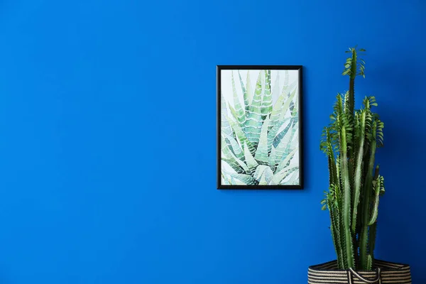 Big Cactus Bag Picture Blue Wall — Stock Photo, Image