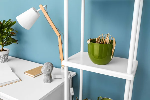 Shelving Unit Wilted Houseplant Blue Wall — Φωτογραφία Αρχείου