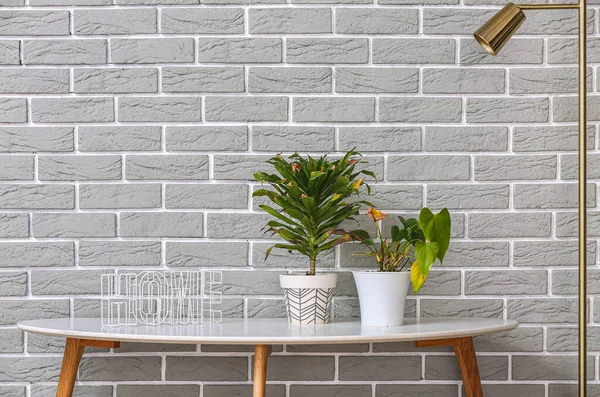 Wilted Houseplants Decor Table Grey Brick Wall — Stok fotoğraf