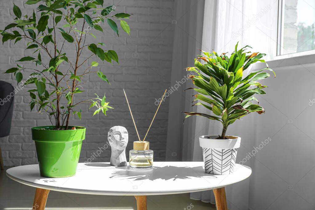 Wilted houseplants with reed diffuser and decor on table in living room