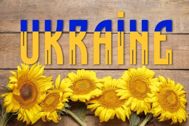 Beautiful sunflowers and word UKRAINE on wooden background